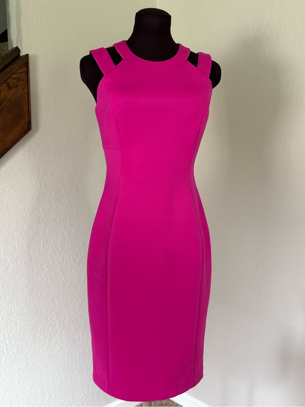 Calvin Klein Hot Pink Cutout Sheath Dress Size 4